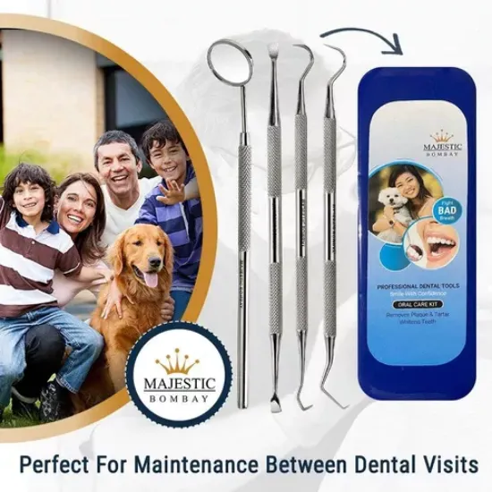 Imagen de Set Higiene Dental Herramientas Uso Personal Prof Acero Inox