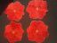 Imagen de Porta vasos  flor roja 