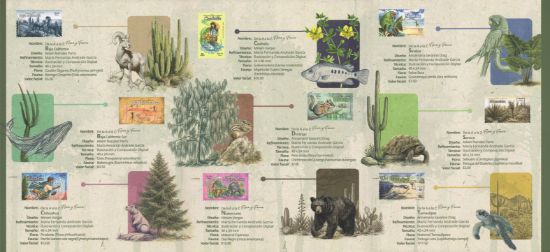 Imagen de Tríptico "De la A a la Z Flora y Fauna de México"
