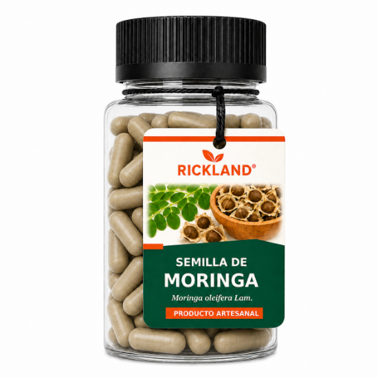 Imagen de Semilla de moringa - 20 pzas