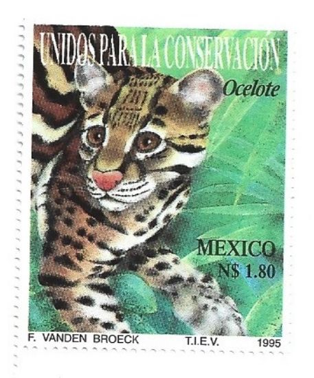 Imagen de ESTAMPILLA FAUNA CONSERVACION OCELOTE 1995 
