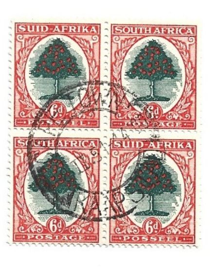 Imagen de SE TENANT DE ESTAMPILLAS DE 6 PENIQUES DE SUDAFRICA 1933 ARBOL DE NARANJO