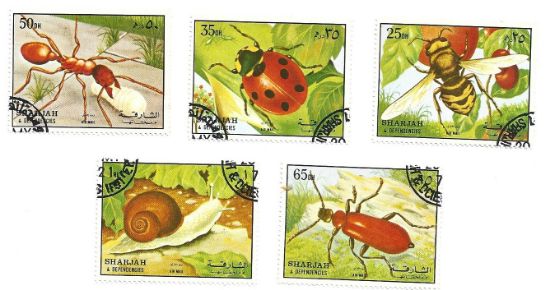 Imagen de SERIE DE ESTAMPILLAS DEL EMIRATO ARABE DE SHARJAH 1972 INSECTOS FAUNA USADAS